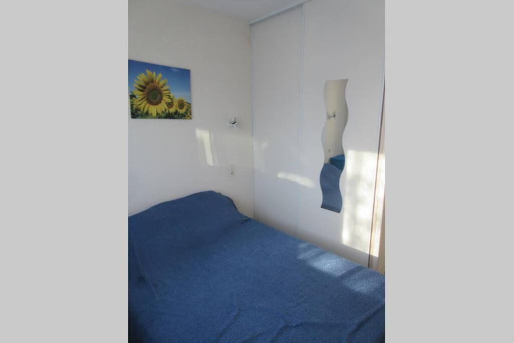 Apt Climatise T3 Saint Pierre La Mer, Terrasse, Jardin Et Parking Prive 弗勒里 外观 照片